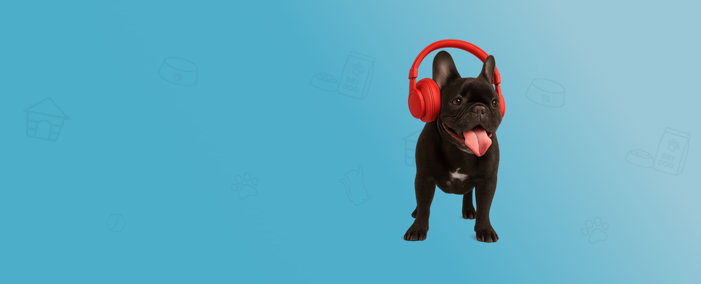 Pet shop com diversos acessórios