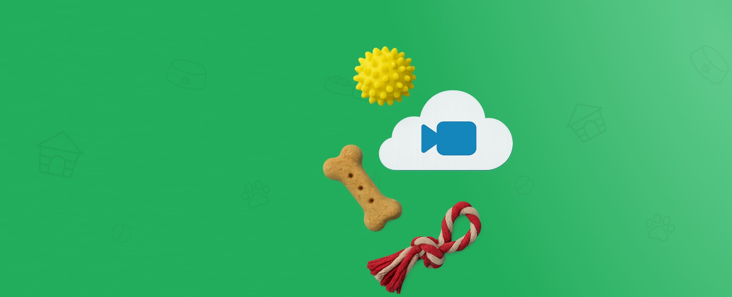 Loja de produtos pet